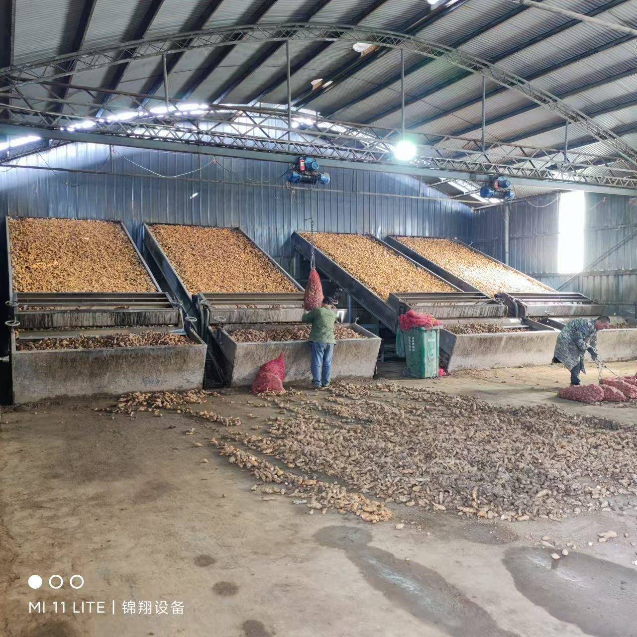 锦翔不锈钢网带烘干设备水果干蔬菜材多层农副食品带式干燥机器