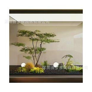 仿真绿植植鸡爪商槭假枫树造橱窗场景茶室仿生鸡爪槭物装饰景观摆