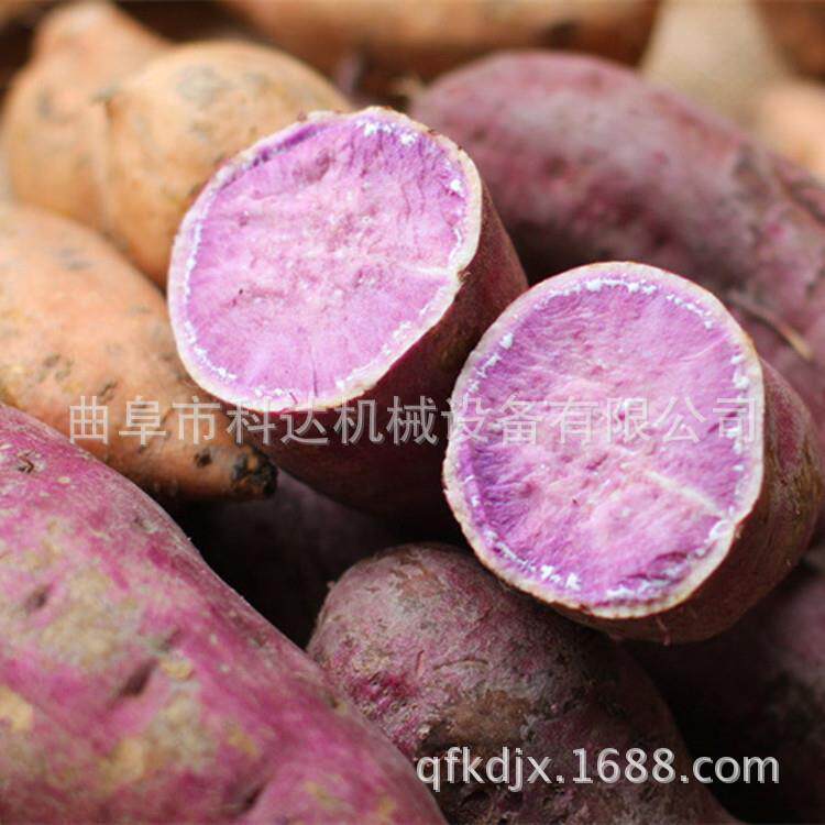 全自动红薯淀粉机豆红薯淀土粉粉薯机类7798渣浆分离机豌豆淀粉碎