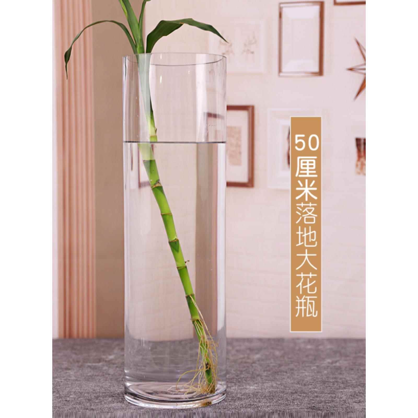 特大号圆形落地花瓶玻璃透明合富贵竹花瓶家用水培客厅插花摆件