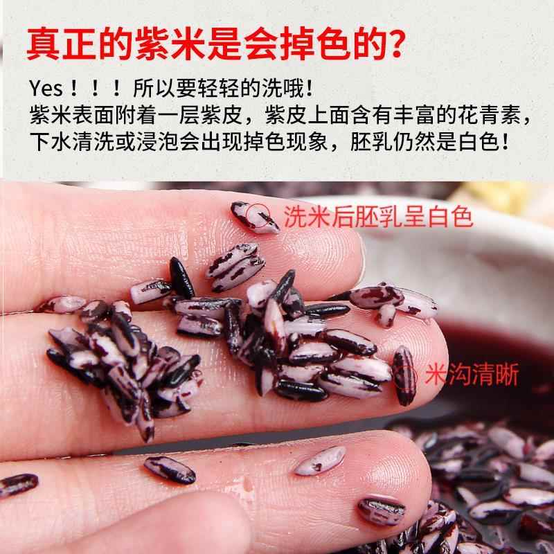 云南墨江紫米当季新米紫糯米五谷杂粮血糯紫米露粗粮煮粥寿司饭团