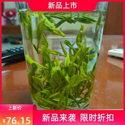 2026年新茶天目青顶高山绿茶临安茶叶浙西大峡谷高山云雾茶袋装