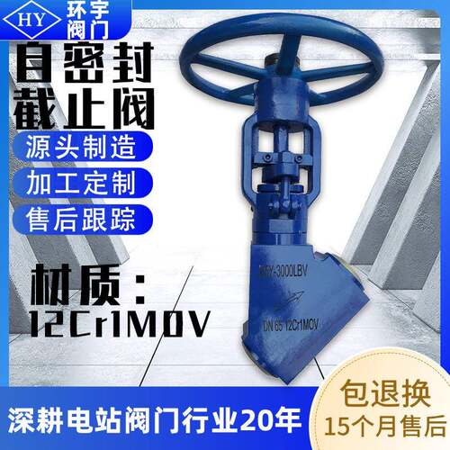 自密封截止阀高温高压截止阀J65Y-30000LBDN50