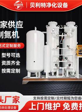 厂家供应PSA变压吸附制氮机食品制氮机化工煤矿工业制氮机
