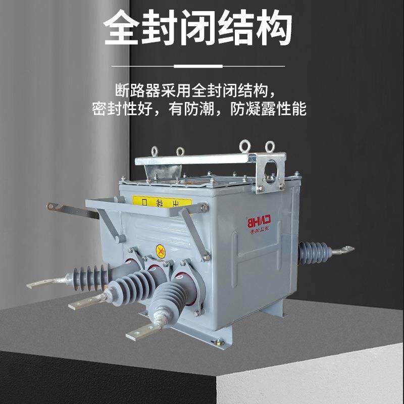 鸿秀压真空断路路器 z带w20-1g隔离户外断682器 120KV柱上压开关