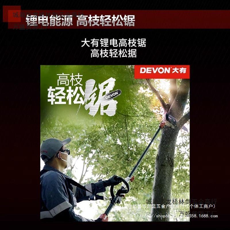 大有电动修枝剪果树果园剪枝修剪充电式园艺园林锂电高枝剪4558