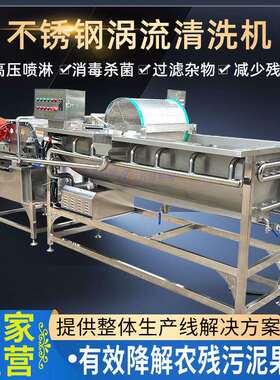 食品级304不锈钢涡流清洗机肉类蔬菜海鲜通用易清洗果蔬加工设备