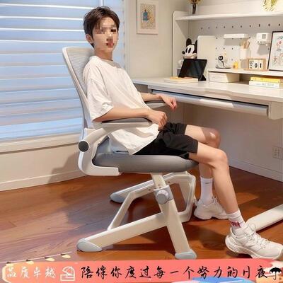 年高初中学生写字书青桌子升降童工学电AL005脑椅椅子儿学习椅家