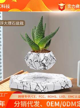 网红智能科技文化工艺品磁悬浮发明专利厂家创意时尚摆件盆栽