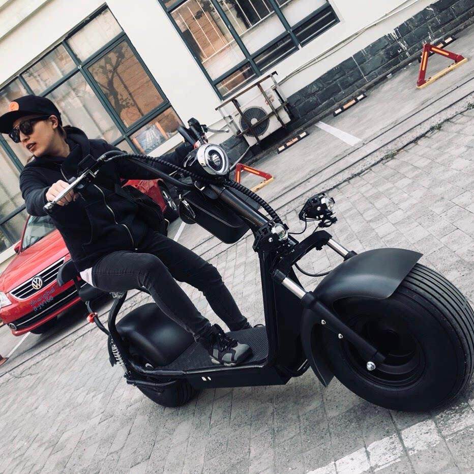 锂电池踏板车双大轮胎城市哈雷电动自行车电池汽车踏板车