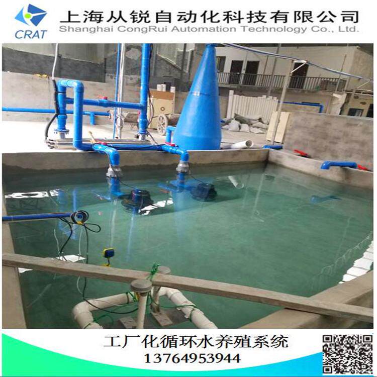上海从锐循环水育苗/水产养殖循环水系统/水产养殖设备水产养殖