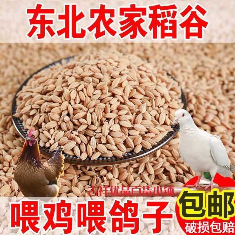 10斤带壳稻谷谷子水稻稻子粮食杂粮大米喂鸡鸭鹅鸽鸟仓鼠宠物饲料