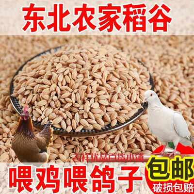 10斤带壳稻谷谷子水稻稻子粮食杂粮大米喂鸡鸭鹅鸽鸟仓鼠宠物饲料
