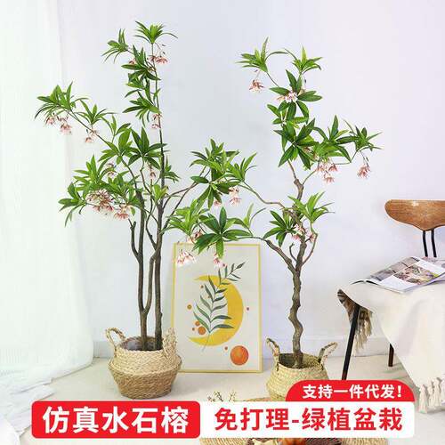 仿真绿植水石榕假树装饰室内家居大型落地植物造景盆栽摆件仿真树