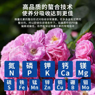 月季 多多肥料肉盆栽多植物号花卉水溶215整斤包 号进口大包肥花装