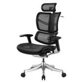 高档博椅泰龙康人体工舒学椅电脑办公椅可躺椅老板电竞椅家用座椅