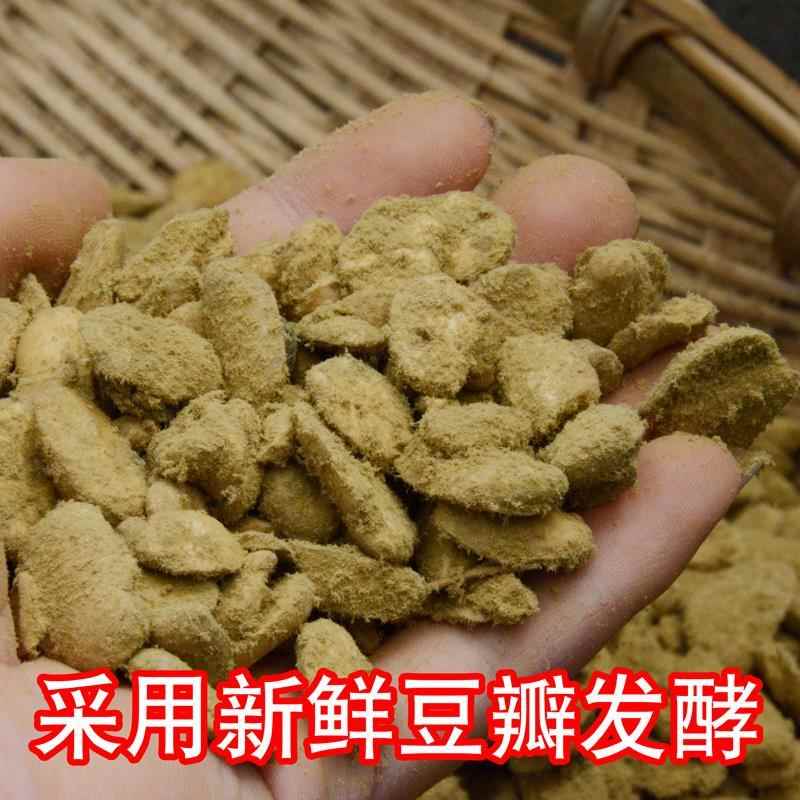 3斤装四川干霉胡豆瓣自然发酵霉豆子农家自制霉豆瓣豆瓣酱油原料