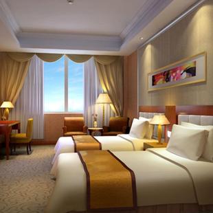 双人席思垫1.51.8m双功能一面软 酒店家具梦自然乳胶 一面硬738床