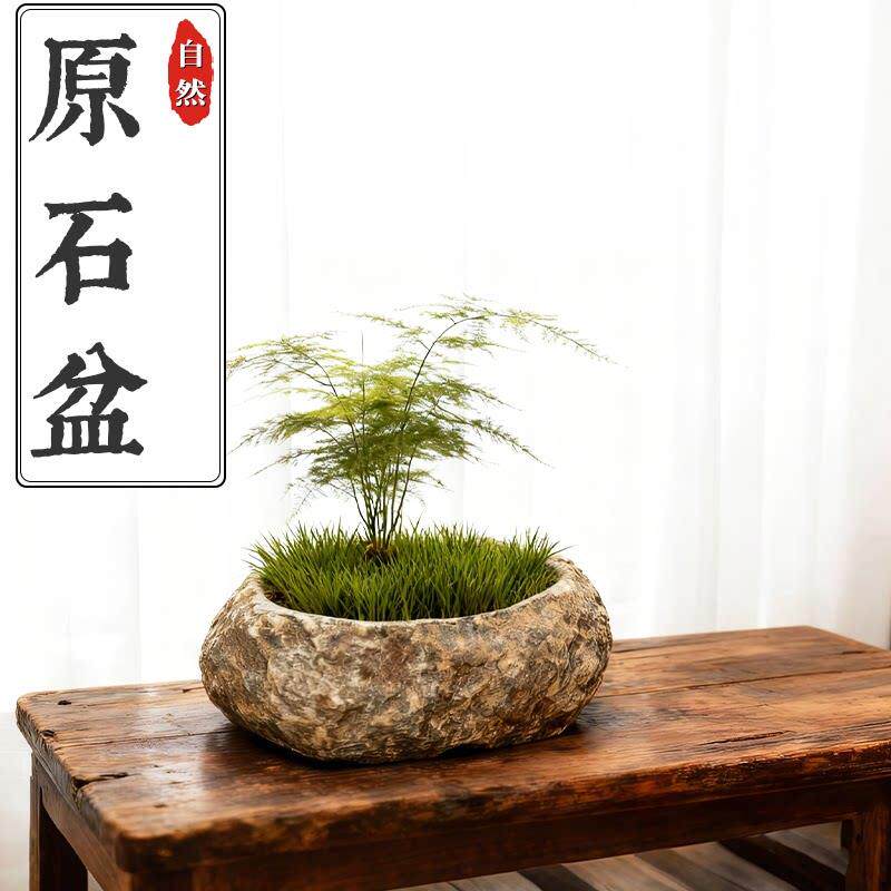 奇石天然石头花盆鹅卵石原生态创意盆景盆插花花器简约水培精品