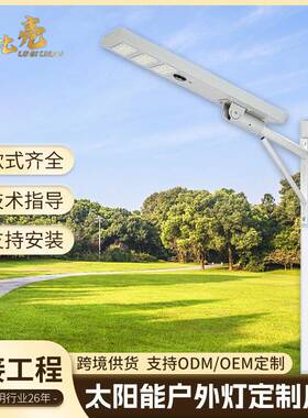 跨境一体化太阳能路灯户外防水感应灯LED大功率非洲基建工程路灯