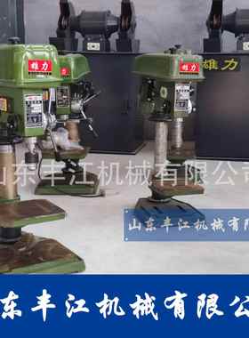 台钻Z4116B/Z4020BZ4120B/Z4025B/Z4125B/Z4016工业台钻