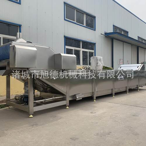 蔬菜漂烫流水线设备海带蒸煮清洗漂烫机竹笋毛豆漂烫杀青护色机