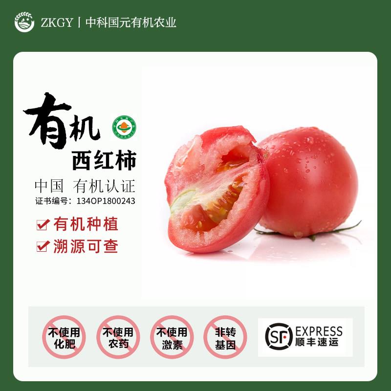 有机西红柿自然熟番茄孕妇新鲜现摘生吃沙瓤新普罗旺斯西红柿5斤