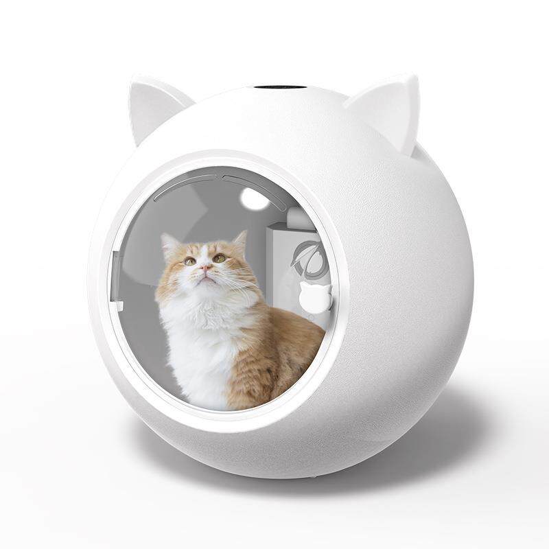 跨境宠物全自动狗猫咪烘干吹水机家用洗澡智能烘干箱