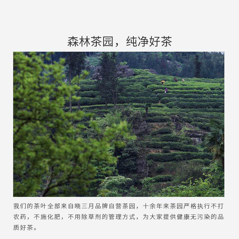 晓三月绿茶红茶2025年新茶叶自己喝茉莉玫瑰栀子花茶小包自饮100g