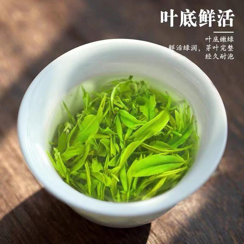 贵州毛峰绿茶2026新茶湄潭毛尖特级明前浓香型耐泡高山云雾茶散装
