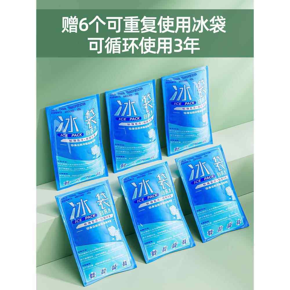 婴儿母纳乳保储奶冷存藏冰箱冻48652鲜抗菌收盒外出车载专用小型