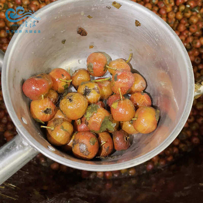 山楂红果蒸煮生产线 蒸山楂果丹皮设备 蒸山楂机器,清洗/食品/商业设备,汤炉/夹层锅/熬煮锅/漂烫锅,淘宝优惠券,粉丝福利购,淘宝优惠卷