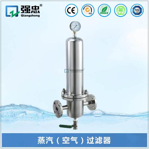 管道蒸汽空气过滤器卫生级不锈钢针孔式针孔压力过滤器带压力表