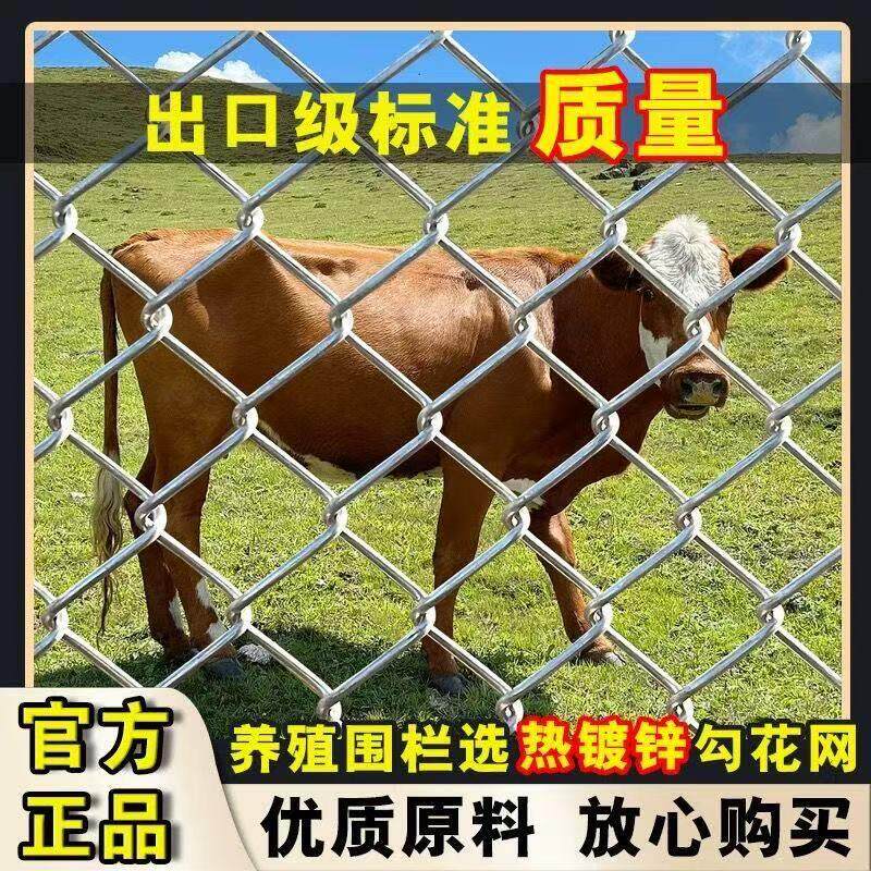 养殖防护热镀锌钢丝网网围栏圈护围栏果园隔离钢丝勾花网护栏网