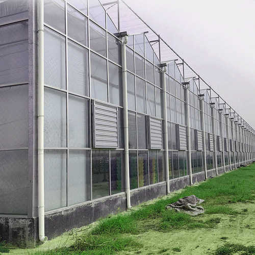 温室大棚骨架智能玻璃温室 农业花卉育苗果蔬日光果树避雨棚大棚