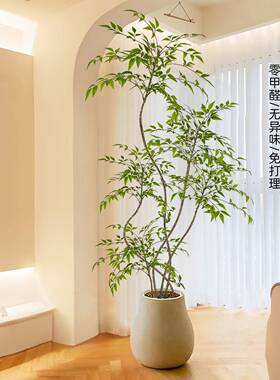 仿真南天柜竹室内客厅电视植高级感仿生NTZA-LY绿色植物落地盆栽