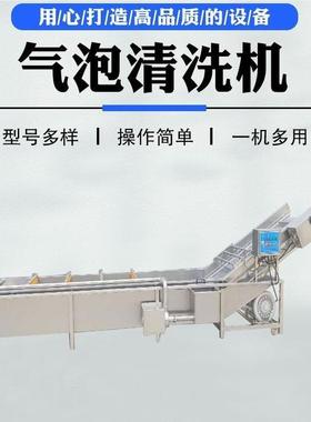 多功19503大型果蔬清洗机泡芋浸头花生气能泡自动清洗机器