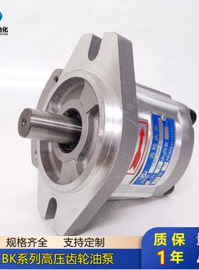高压齿轮泵CBK1012-A1FR CBK1016-A1FR CBK1020-A1FR CBK1025-A1F