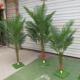 假椰子树叶子彷真散尾葵凤尾竹绿植植物棕榈树叶造景观装 饰塑料花