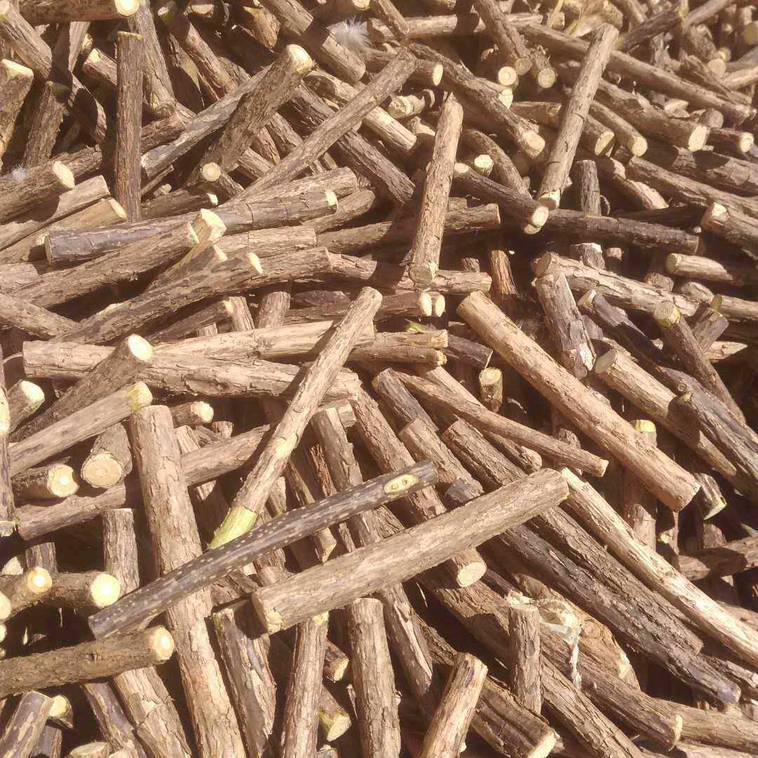 厂家木天蓼棒 猫咪磨牙棒 木天蓼逗猫棒 量大从优 包邮