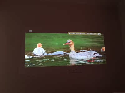 良心评测坚果T9和极米Z6哪个好用点？区别有吗？