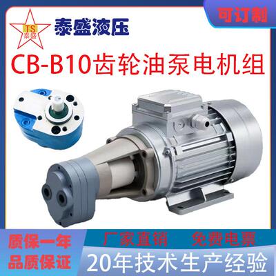 CB-B6B4JZ齿轮油泵电机CB-B10JZ2.5JZ立卧润滑油泵0.37/0.55KW
