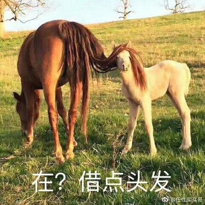 特步女鞋山海运动鞋女2020新款夏季透气女士休闲鞋网面老爹鞋子女怎么样？是哪里牌子？有何缺点？