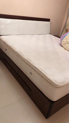 【不看后悔】:雅兰高端双层乳胶柏瑞诗床垫好吗?背部支撑够不够?