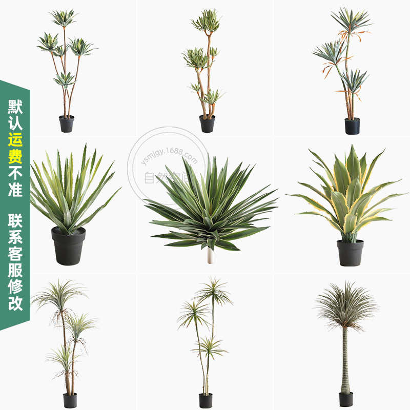 仿真芦荟龙舌兰剑麻沙生植物小棵绿植家居门店造景堆景装饰盆栽