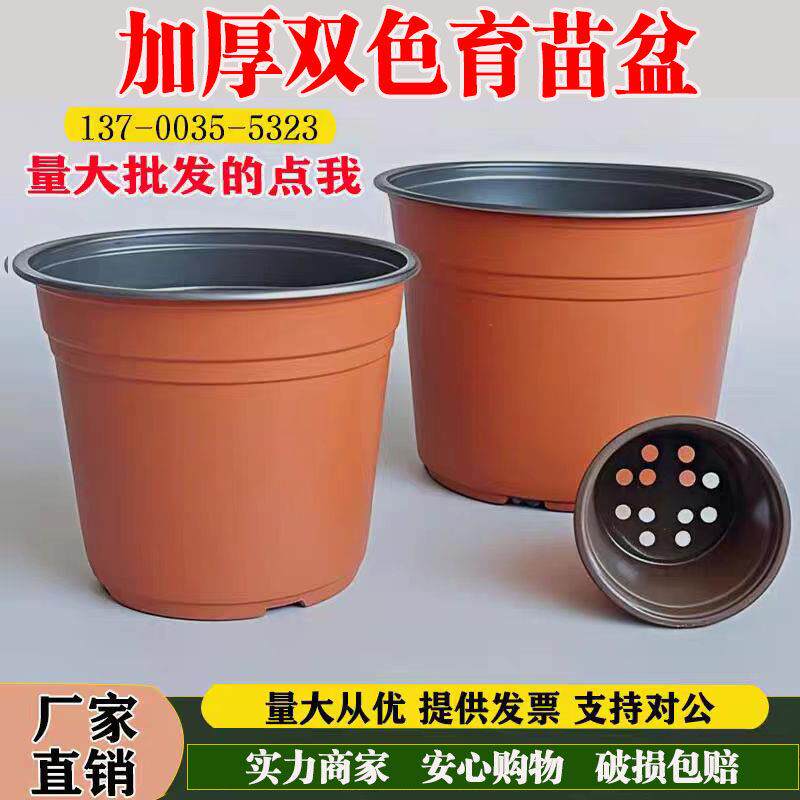 加厚双色花盆营养钵外红内黑塑料盆多肉育苗盆 塑料花盆 简易花盆