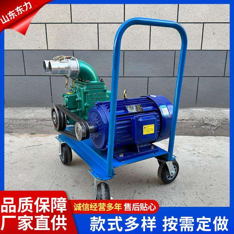 养殖场大吸力抽粪泵家用化粪池无堵塞排污水泵小型市政排涝排污泵