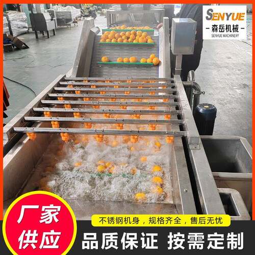 商用果蔬气泡清洗机杏干气泡清洗机风干机果脯气泡翻浪清洗机厂家