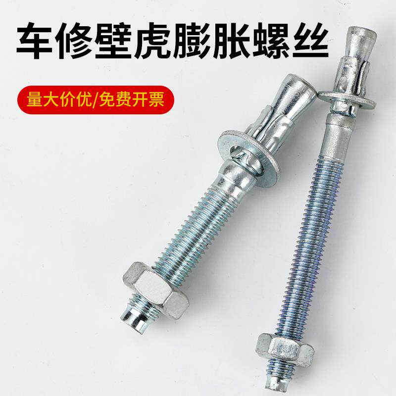国标车修壁虎螺丝蓬胀螺丝电梯专用膨胀螺丝高强度拉爆蓬胀M8M10