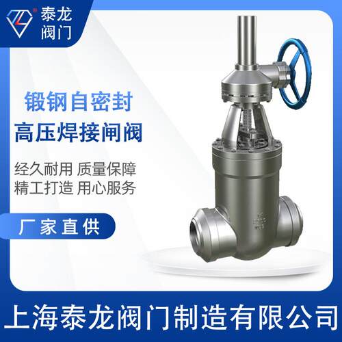 Z61HY铸钢自压密封高温高压闸阀水油品蒸汽开关阀上海泰龙阀门